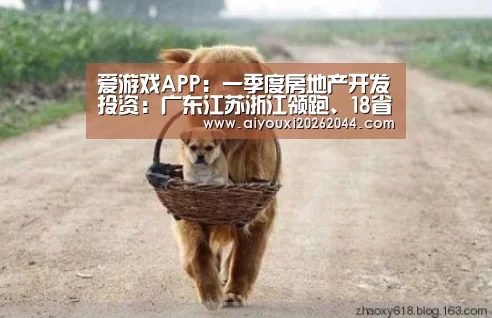 爱游戏APP