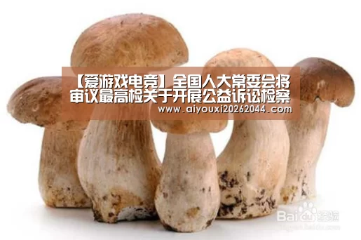 【爱游戏电竞】全国人大常委会将审议最高检关于开展公益诉讼检察工作情况的报告等(图3) 爱游戏APP
