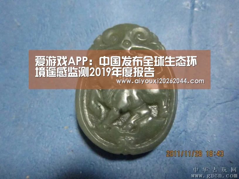 爱游戏APP:中国发布全球生态环境遥感监测2019年度报告(图1) 爱游戏百家乐