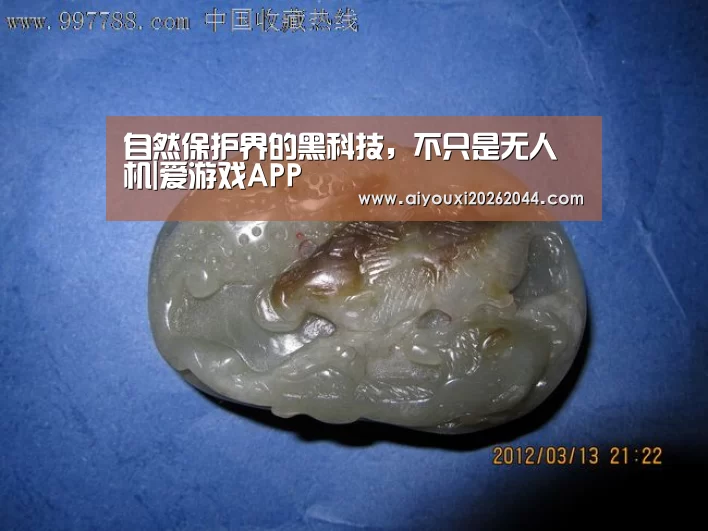 自然保护界的黑科技,不只是无人机|爱游戏APP(图1) 爱游戏平台