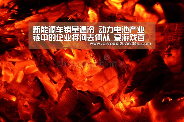 新能源车销量遇冷 动力电池产业链中的企业将何去何从_爱游戏百家乐(图1) 爱游戏APP