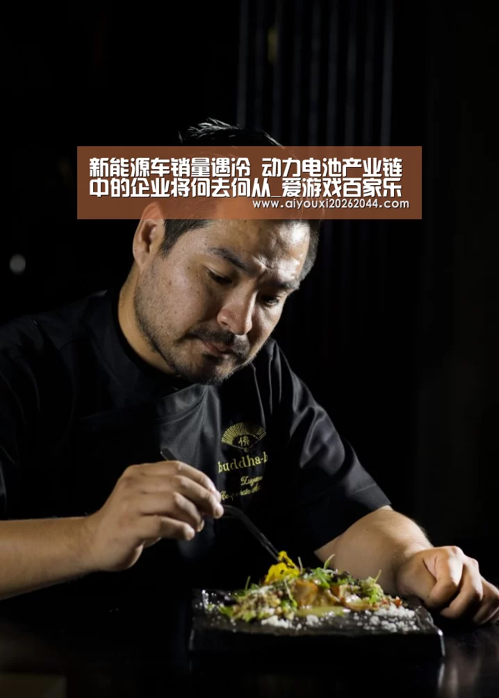 新能源车销量遇冷 动力电池产业链中的企业将何去何从_爱游戏百家乐(图3) 爱游戏APP