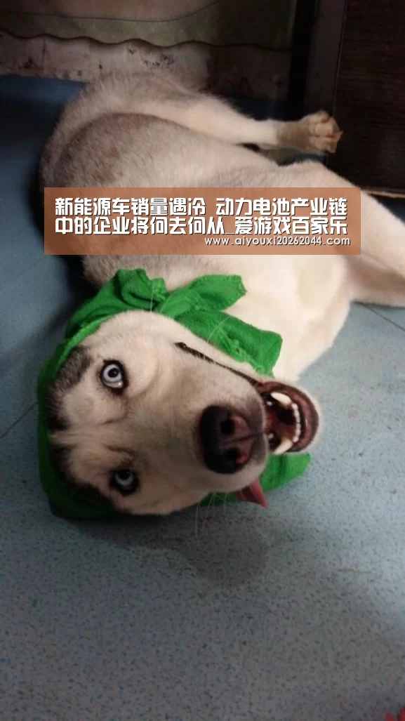 新能源车销量遇冷 动力电池产业链中的企业将何去何从_爱游戏百家乐(图4) 爱游戏百家乐