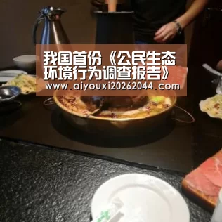 爱游戏APP