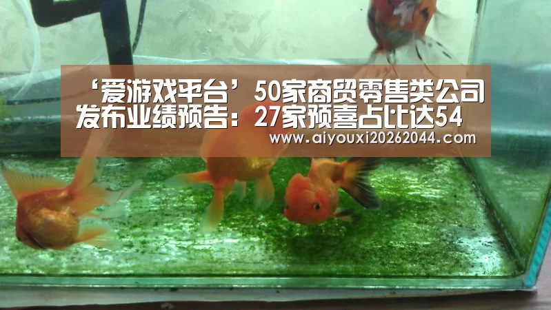 爱游戏APP