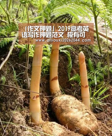 「作文押题」2019高考英语写作押题范文 极有可能考“爱游戏平台”(图3) 爱游戏百家乐
